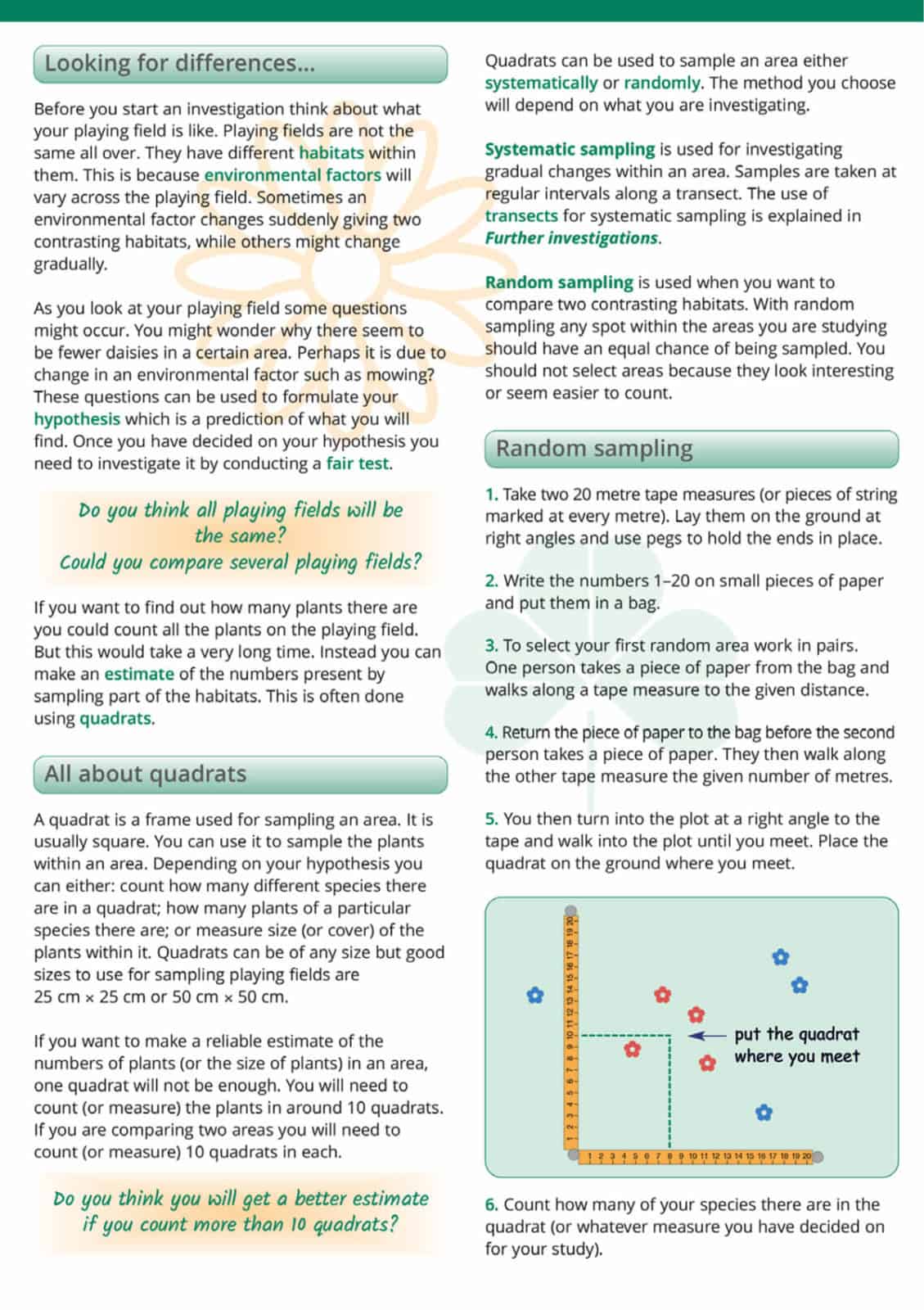 Playing field plants guide