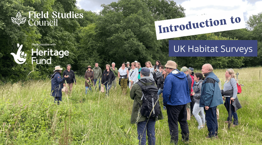 introduction to habitat surveys