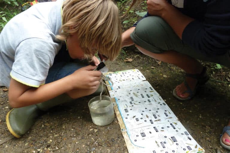 boy pond dipping