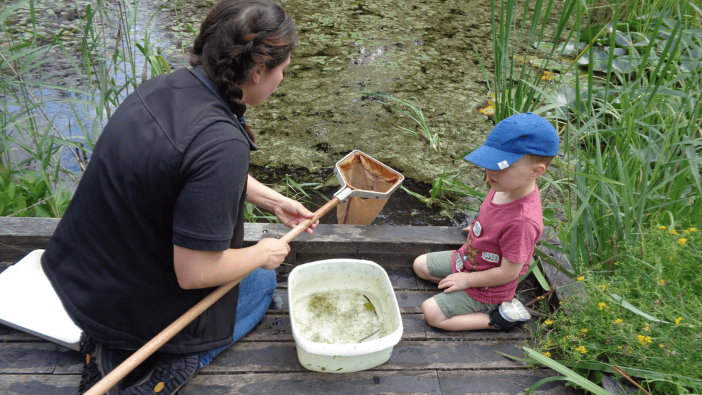 bishops wood pond dipping