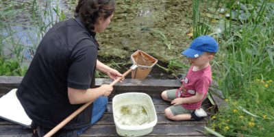 bishops wood pond dipping