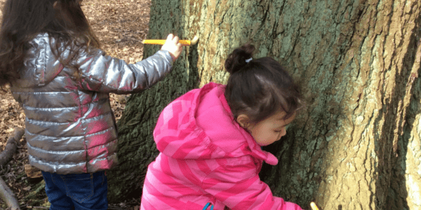 children tree activity
