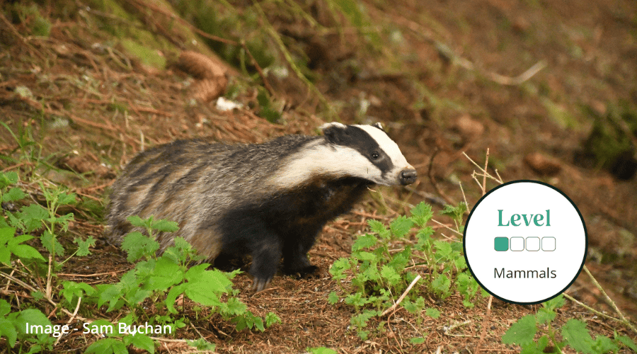 Land Mammals – Field Studies Council Land Mammals – Field Studies Council