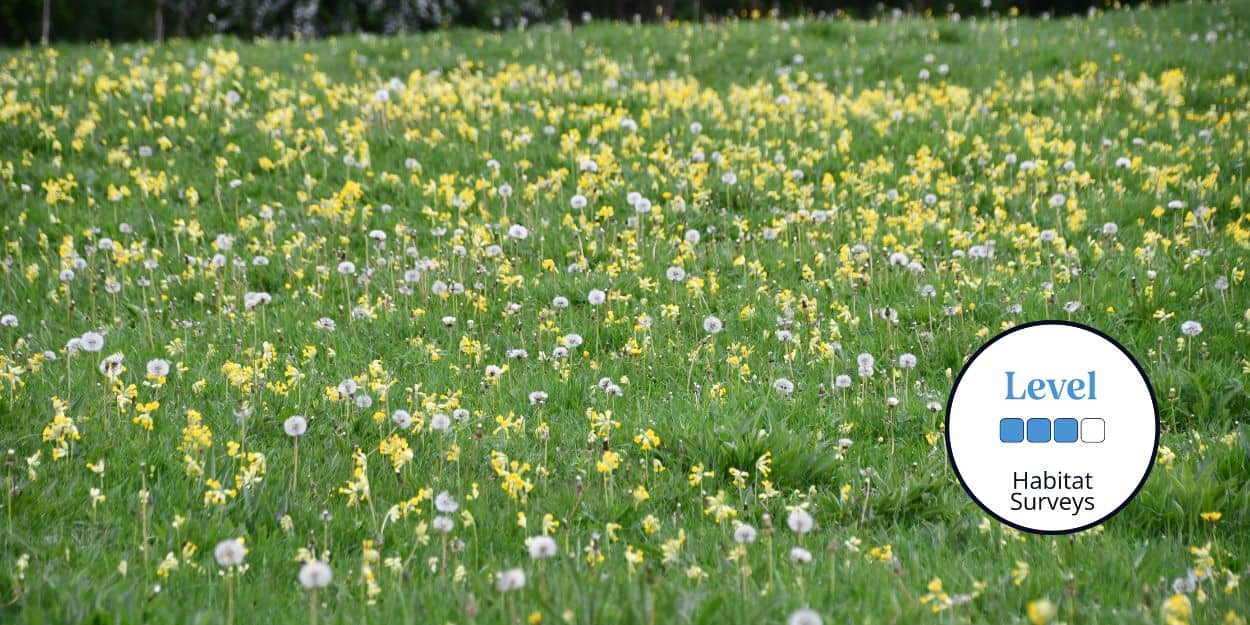 Site Assessment Using Vegetation MMU Field Studies Council