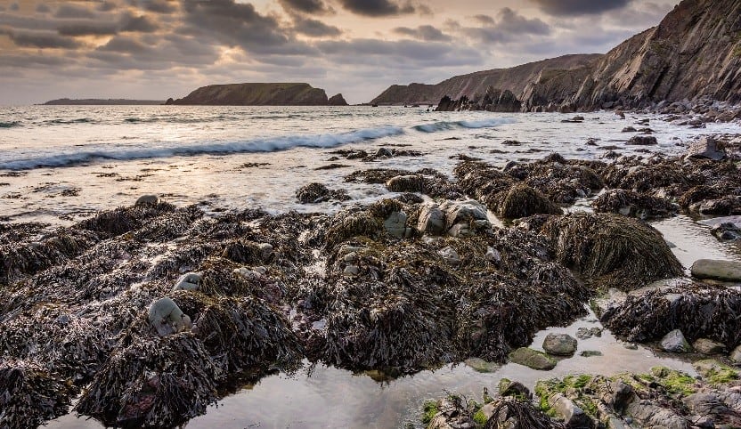 Coastal scene taken on a Field Studies Council photography course