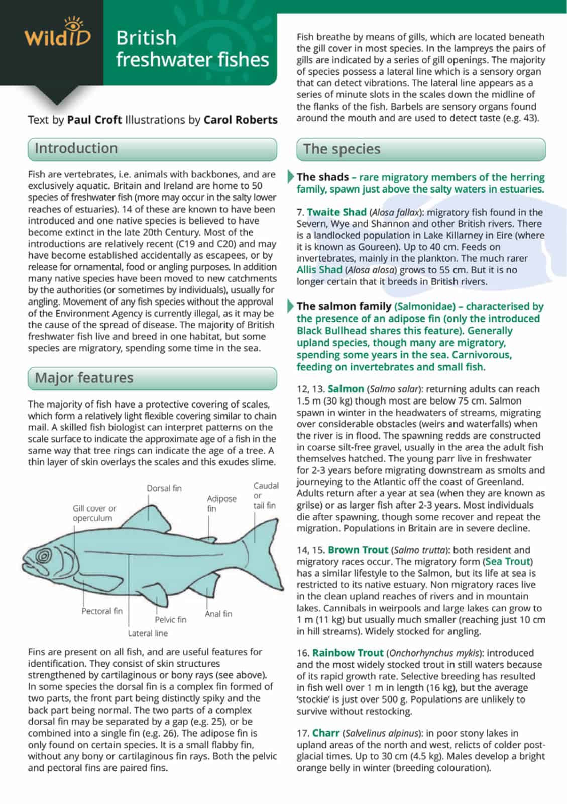 fish guide