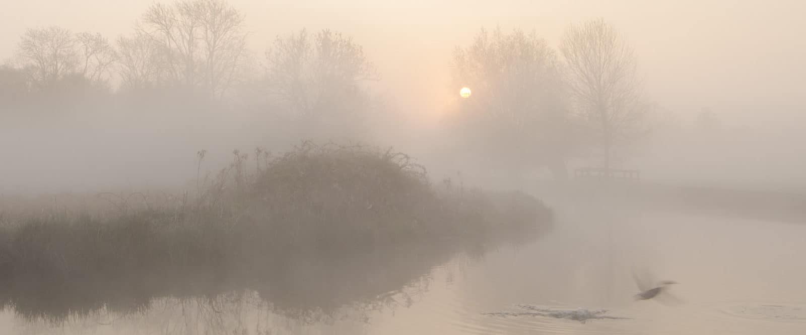 Flatford mist steve hedges