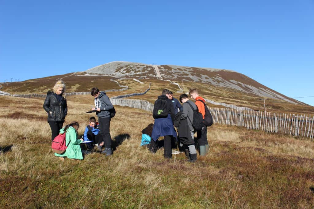 group learning outdoors