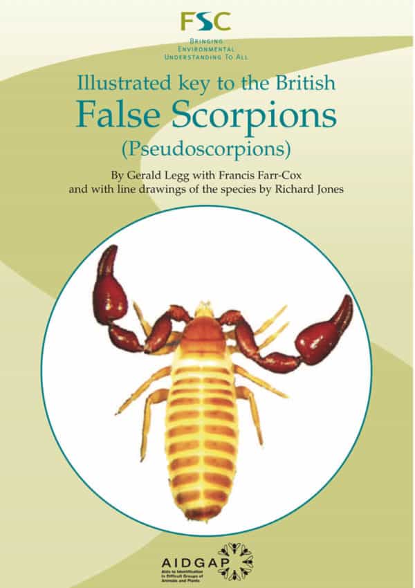 false scorpions