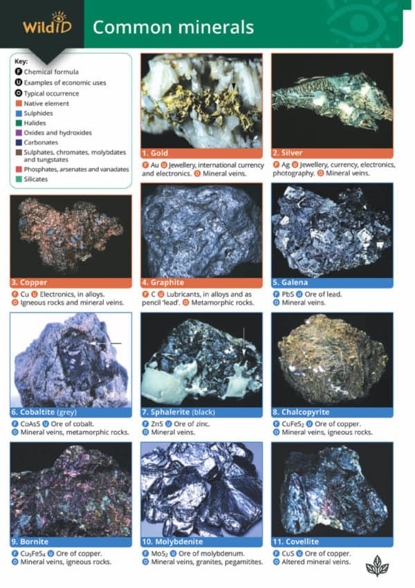 Minerals guide
