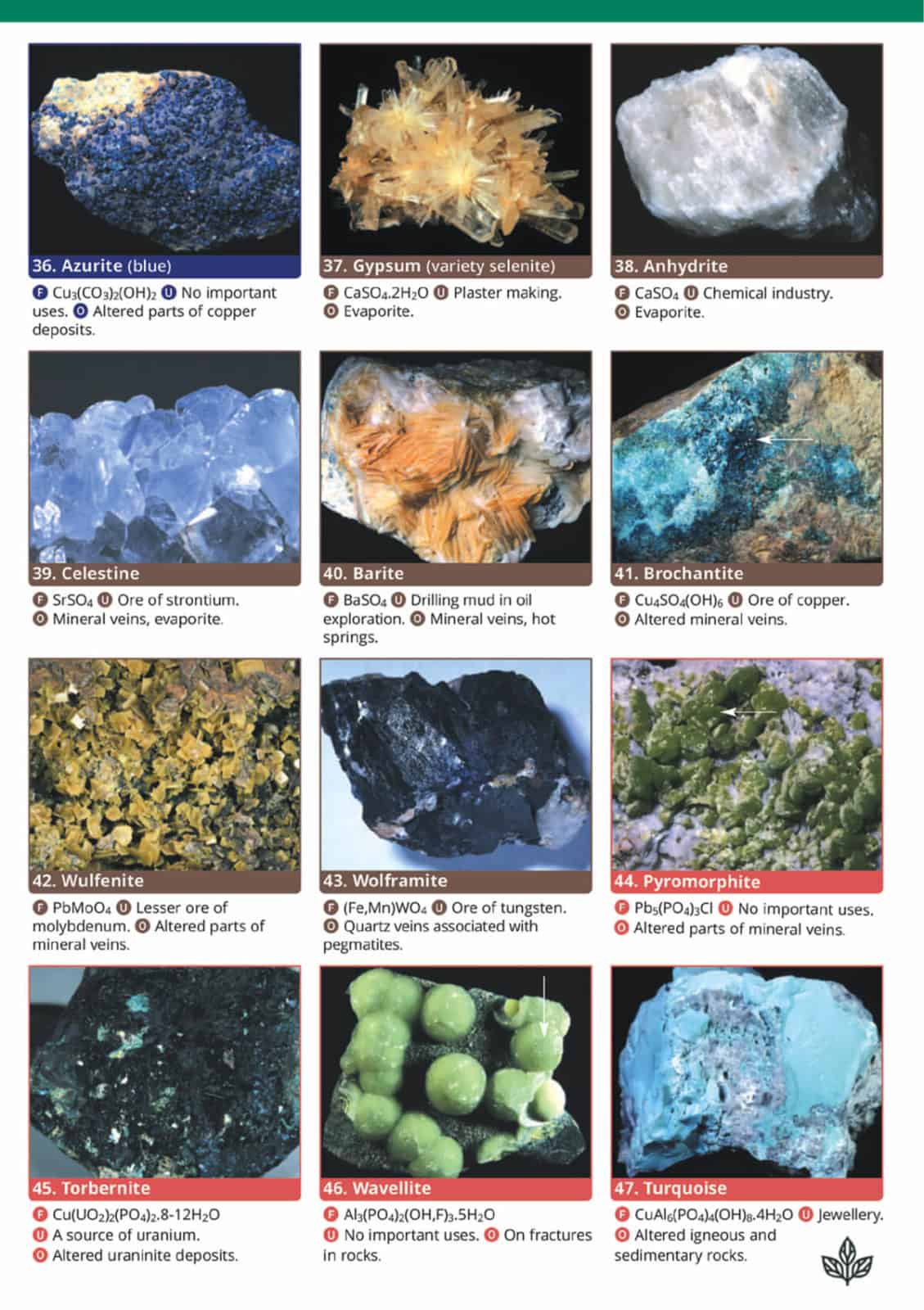 Minerals guide