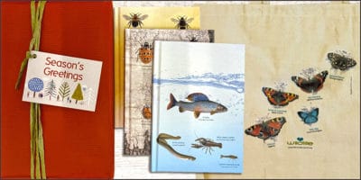 Gifts and cards