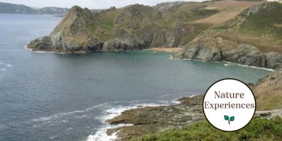 a field study of the botany geology and marine biology of south devon thumbnail
