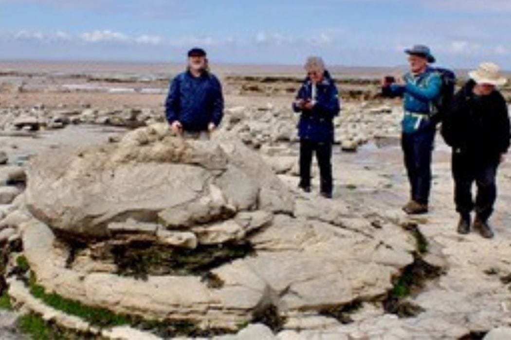 group looking at rock formations on a beach