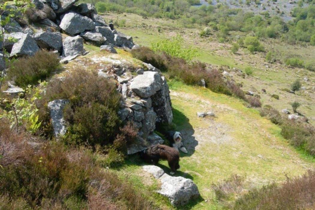 Rocks in Devon - Martin Summers