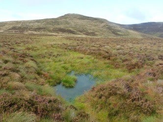 Blanket bog at Loweswater source Cumbria Wildlife Trust