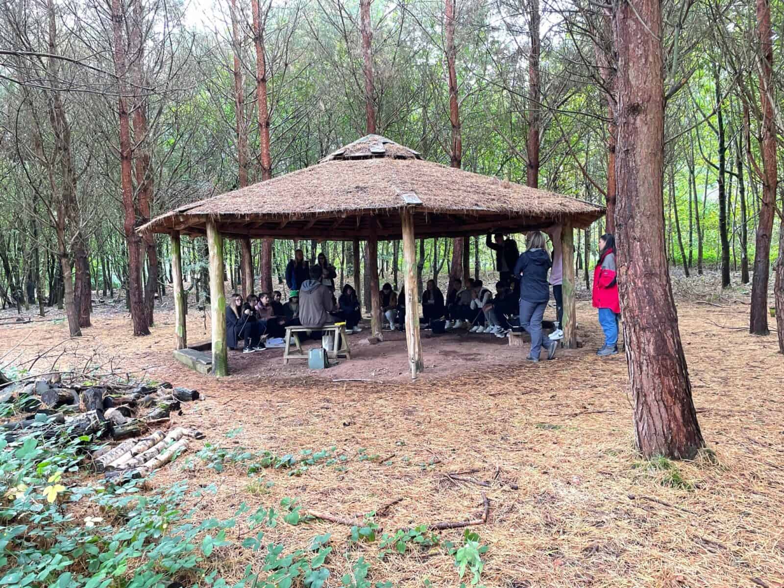Fieldwork Study in the woods