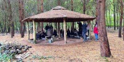 Fieldwork Study in the woods