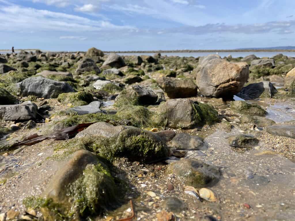 Rocky coastline