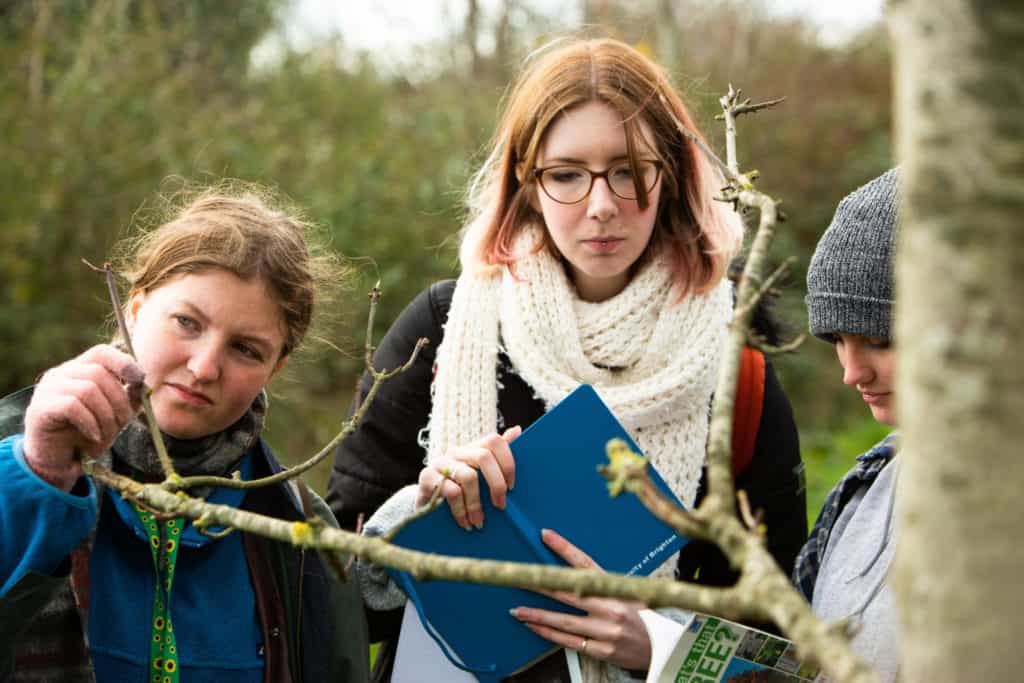 Free Tree Training – Field Studies Council