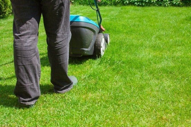 lawn mower