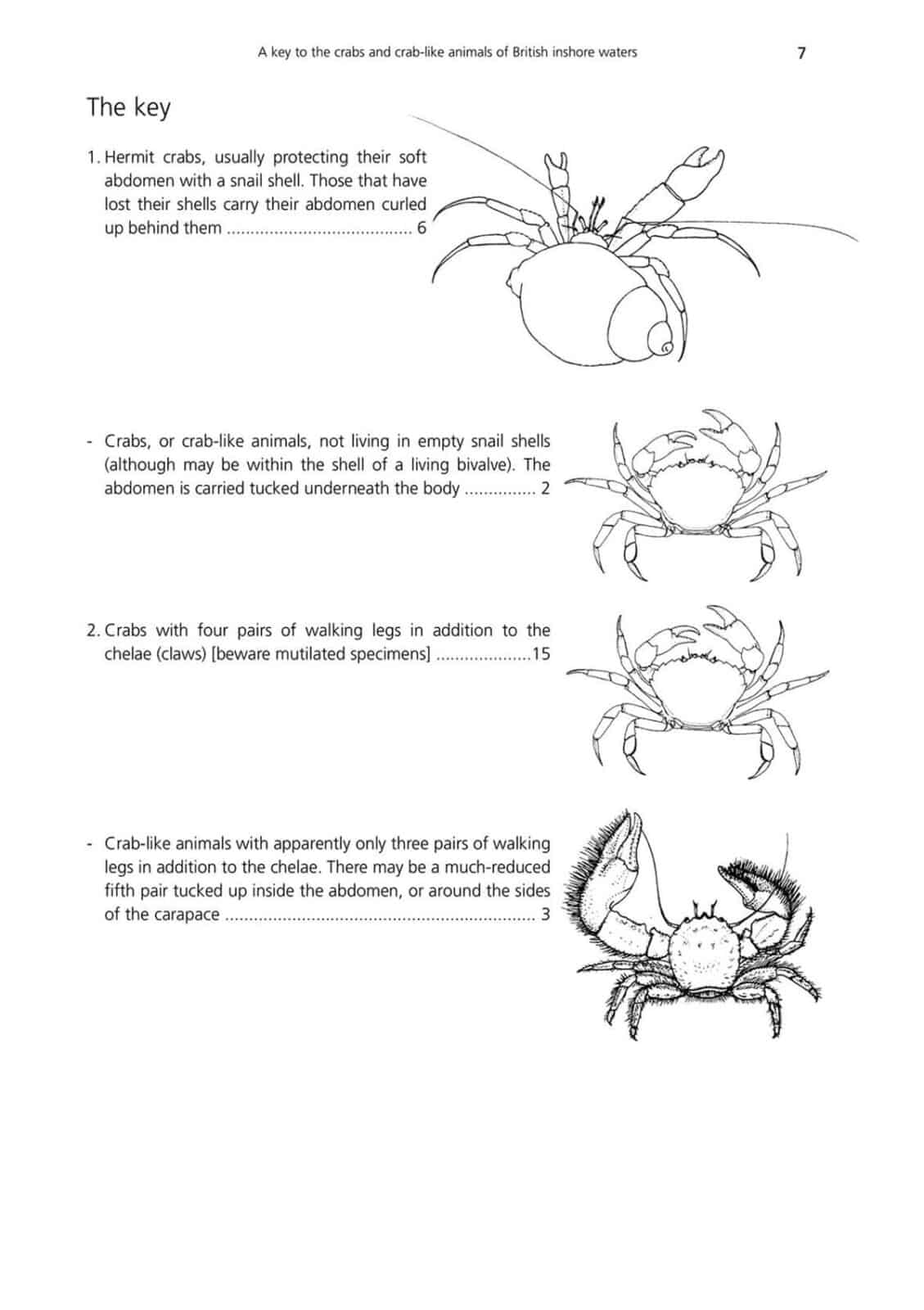 crabs