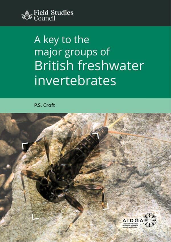 freshwater invertebrates