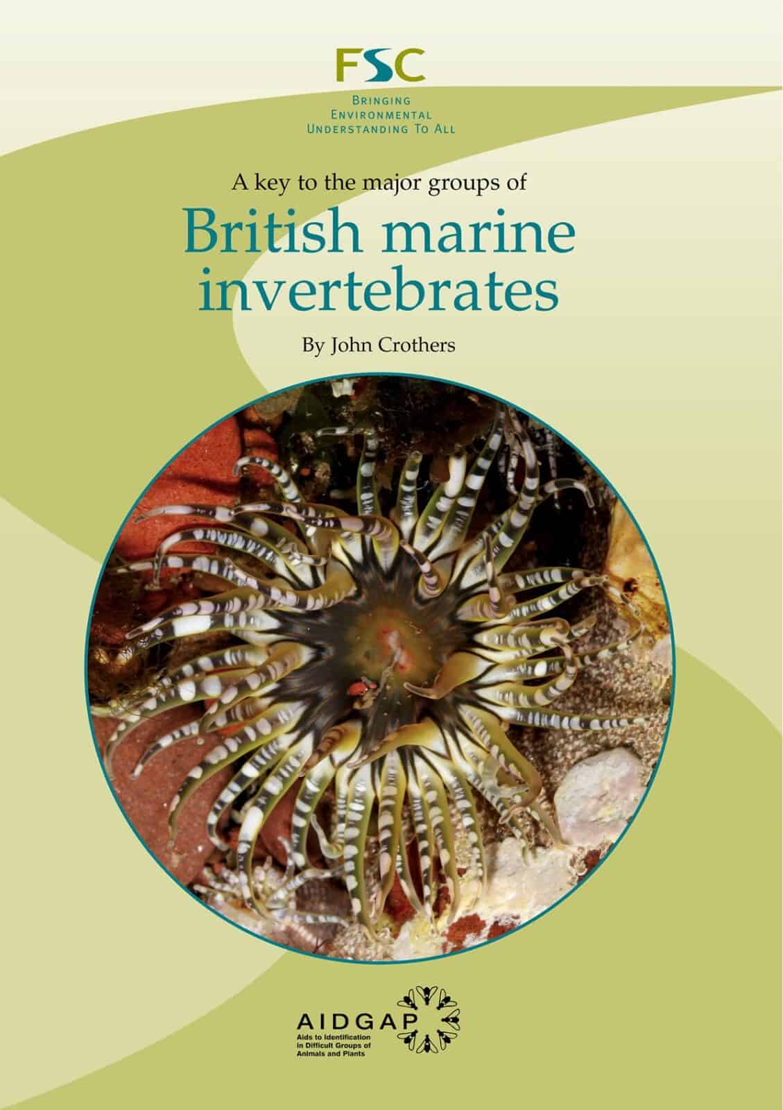 marine invertebrates