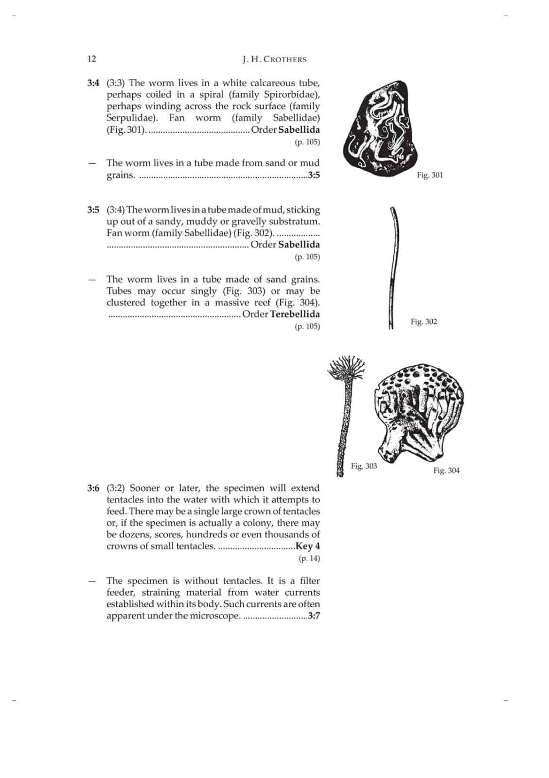 freshwater invertebrates