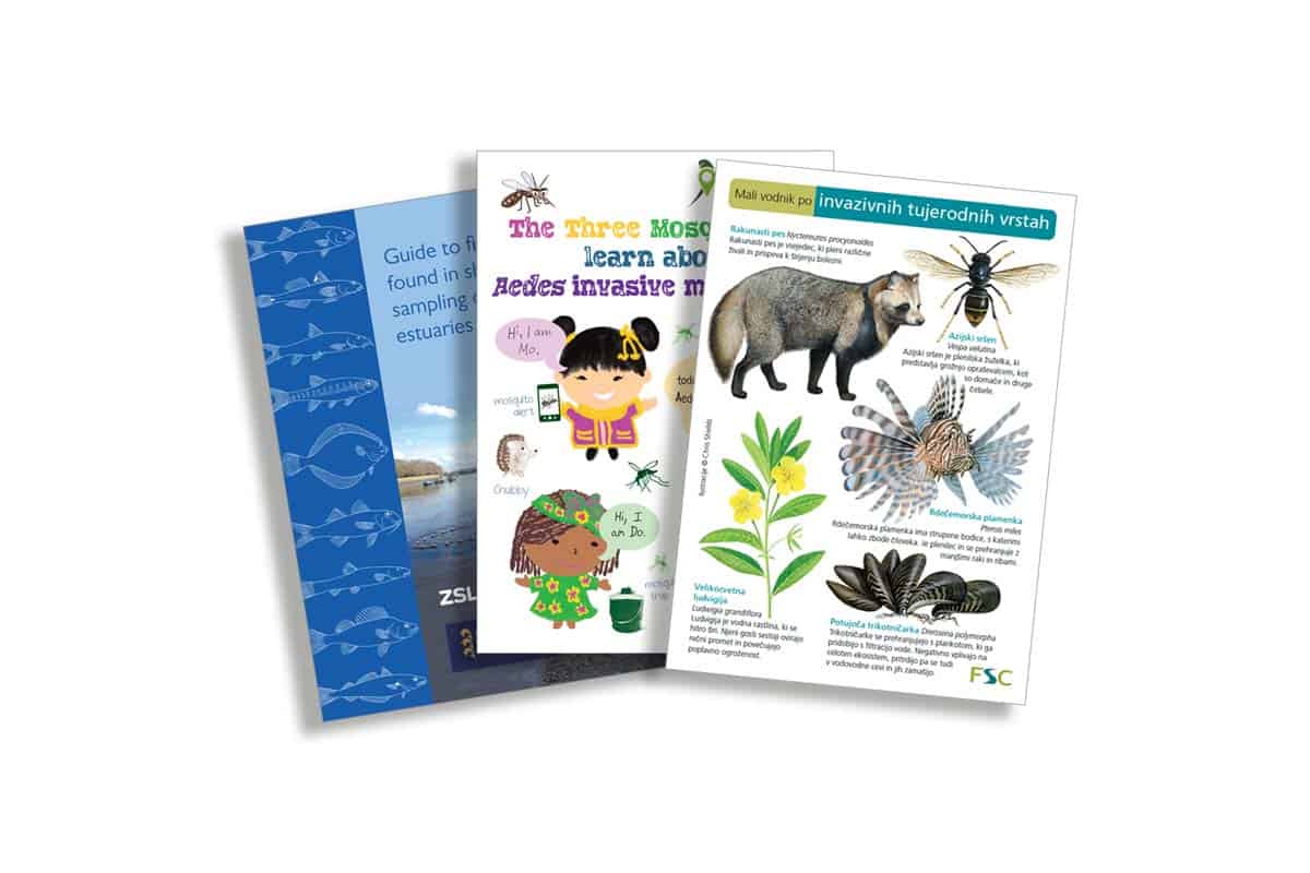 Create Your Own Guide – Field Studies Council