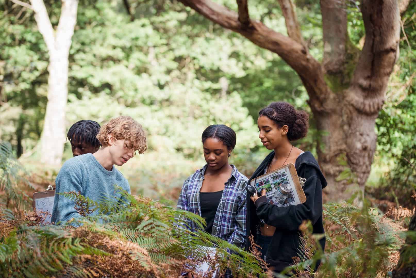 Free Tree Training – Field Studies Council