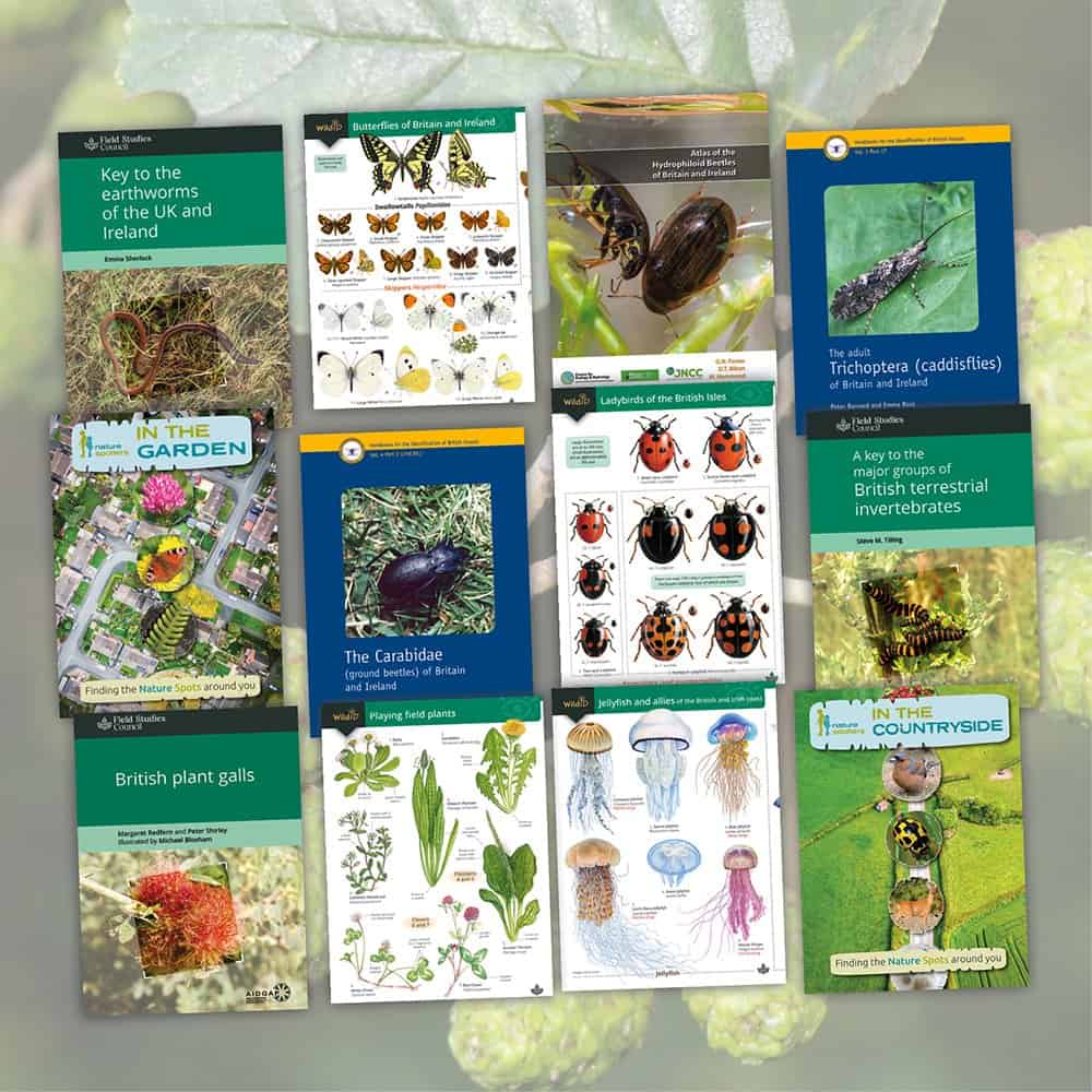 Create Your Own Guide – Field Studies Council