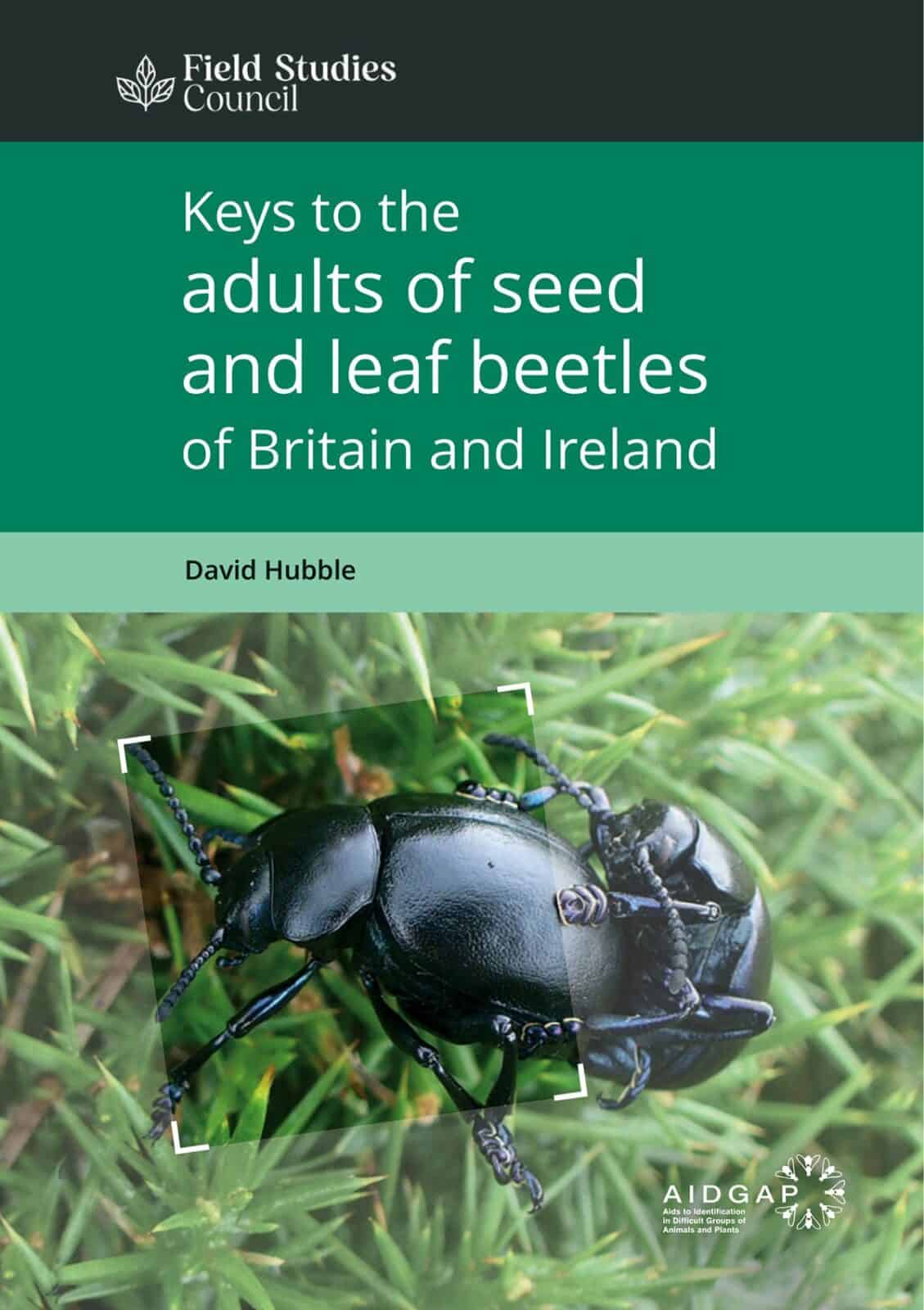 seed beetles