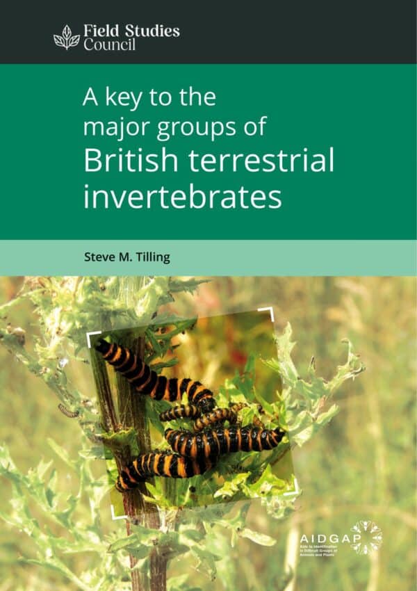 terrestrial invertebrates