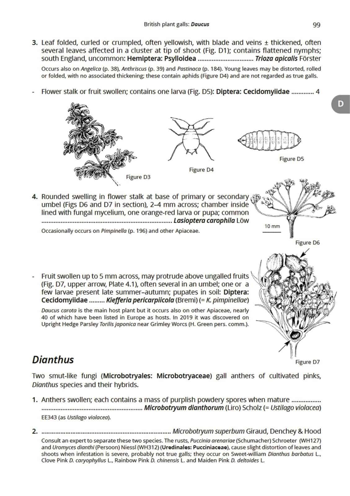 Plant galls