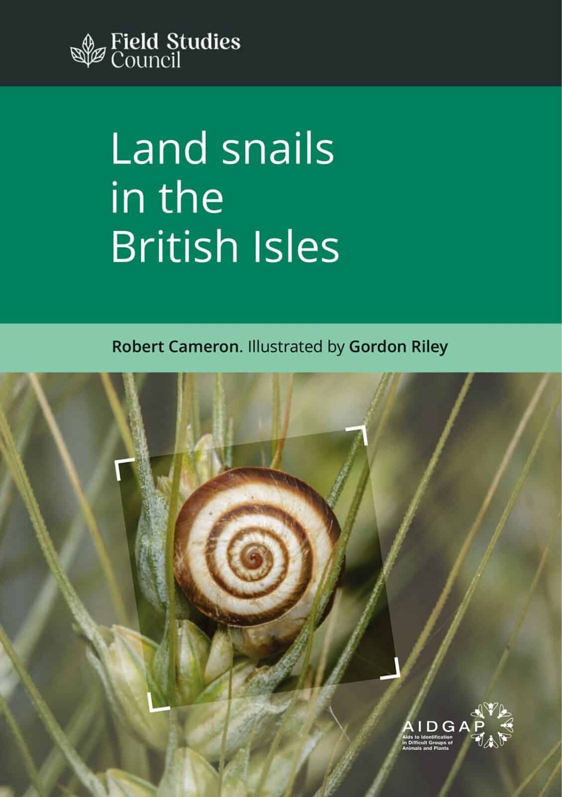 land snails