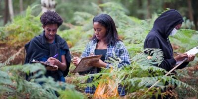 3 students in a forest setting