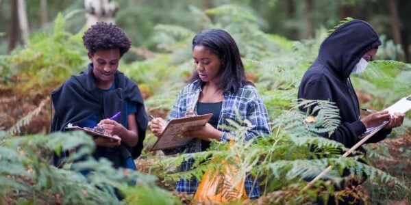 3 students in a forest setting