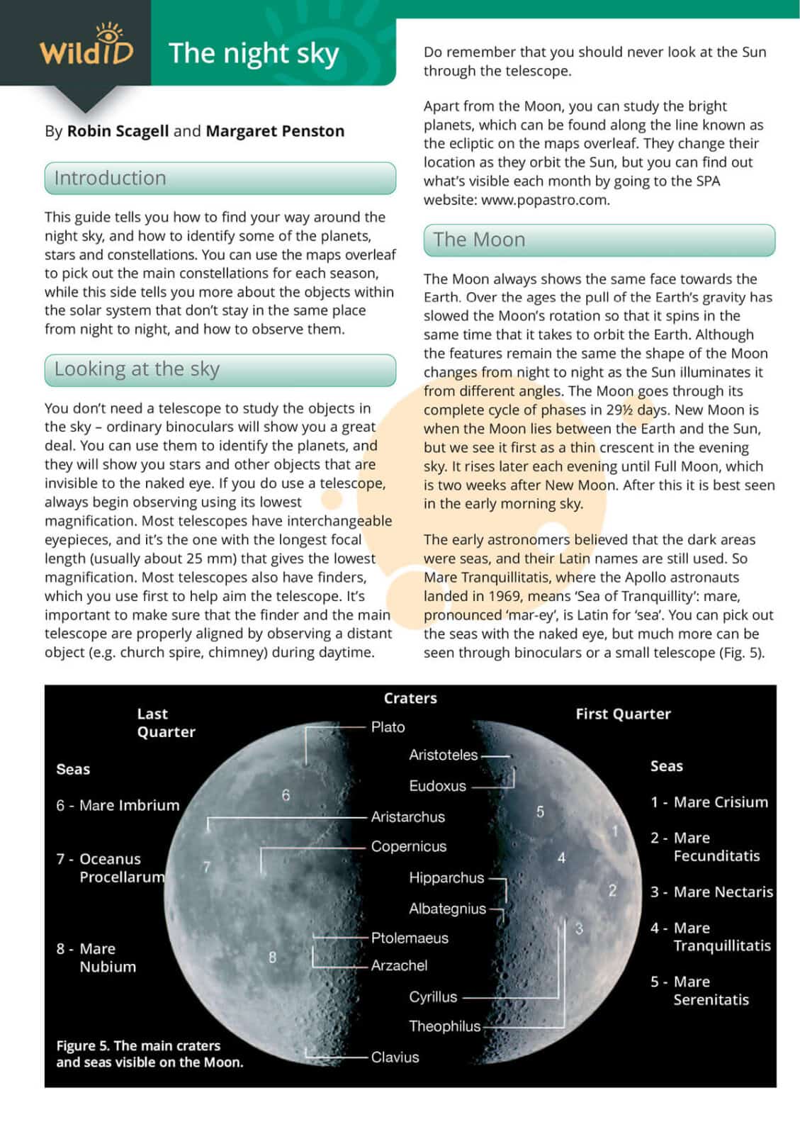 Night sky guide