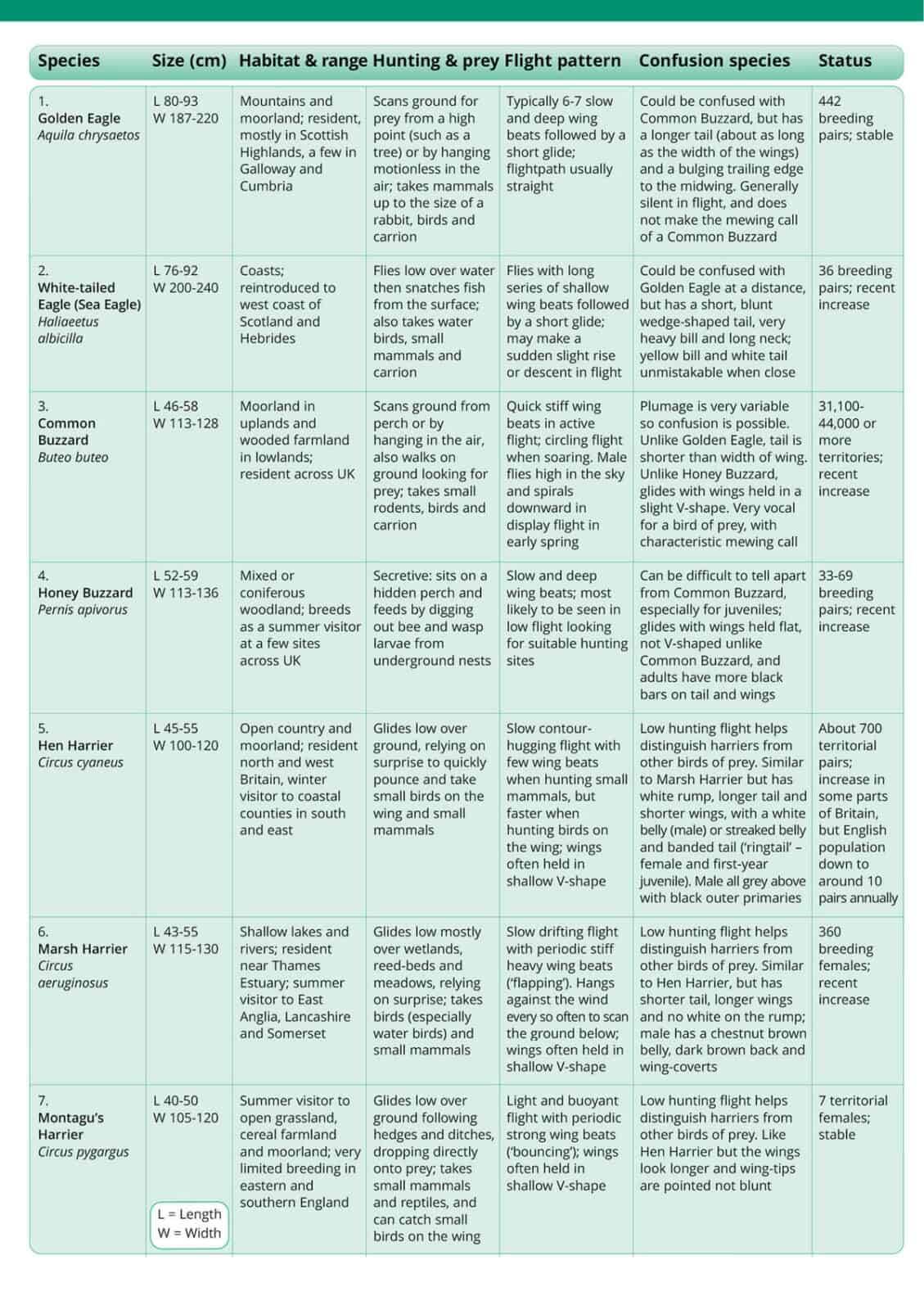 Birds of Prey guide – Field Studies Council