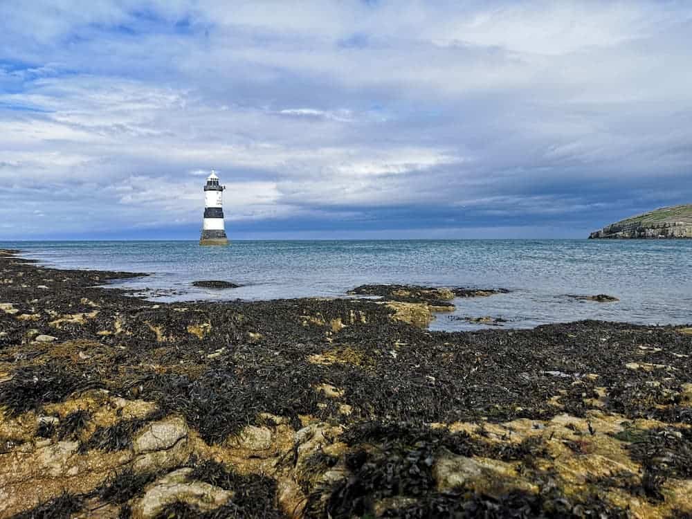 looking out to see with a lighthouse on the horizon