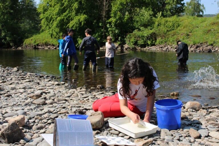 Primary pupils investigate rivers during outdoor learning mini beasts session