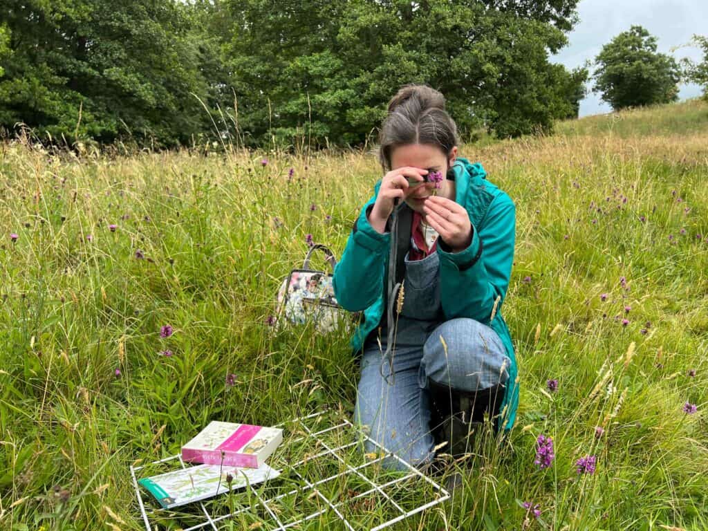 Habitat surveying to complete a BNG report. Image by Rebecca Wood.