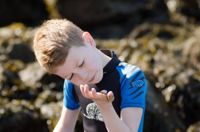 a boy looking at what he found rock pooling