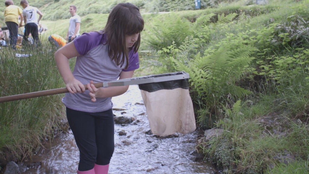 a young girl with a net in a stream studying what she's caught