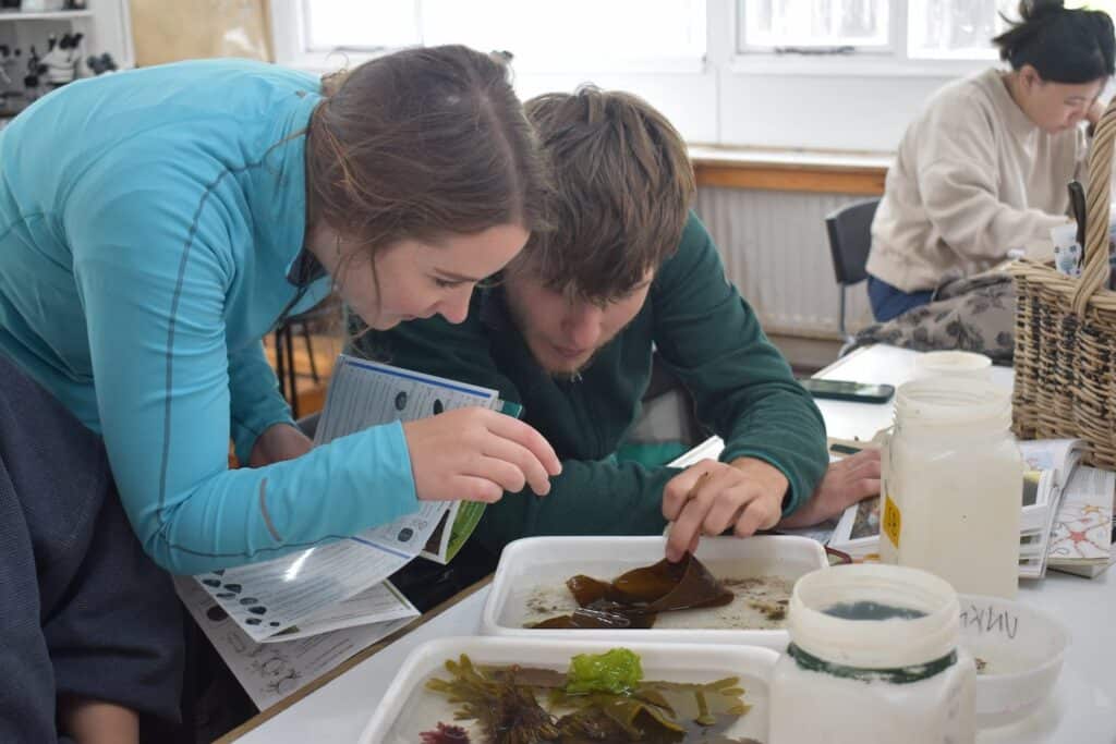 boy and girl studying seaweed in a lab