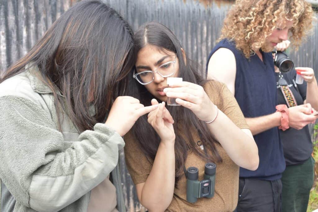 two girls looking at an insect