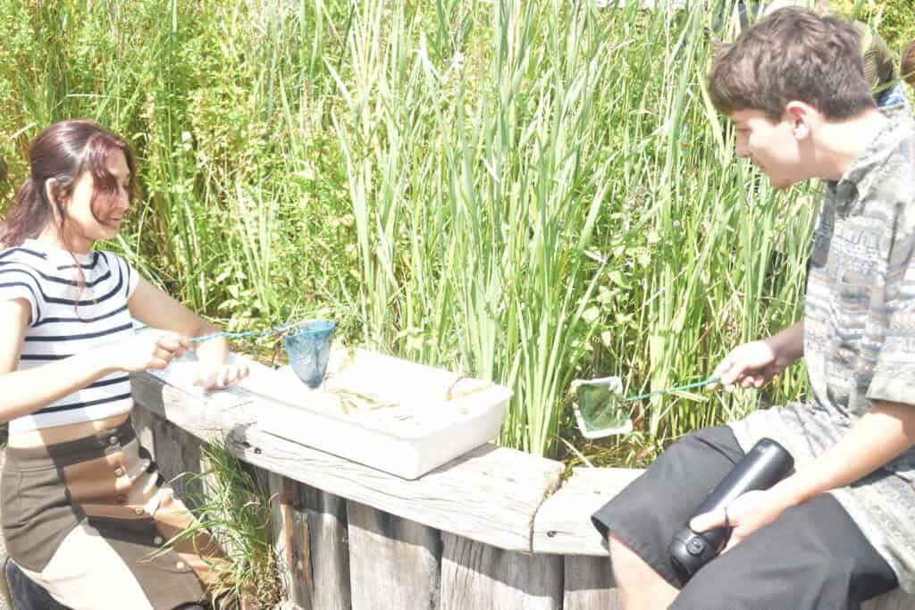 pond dipping