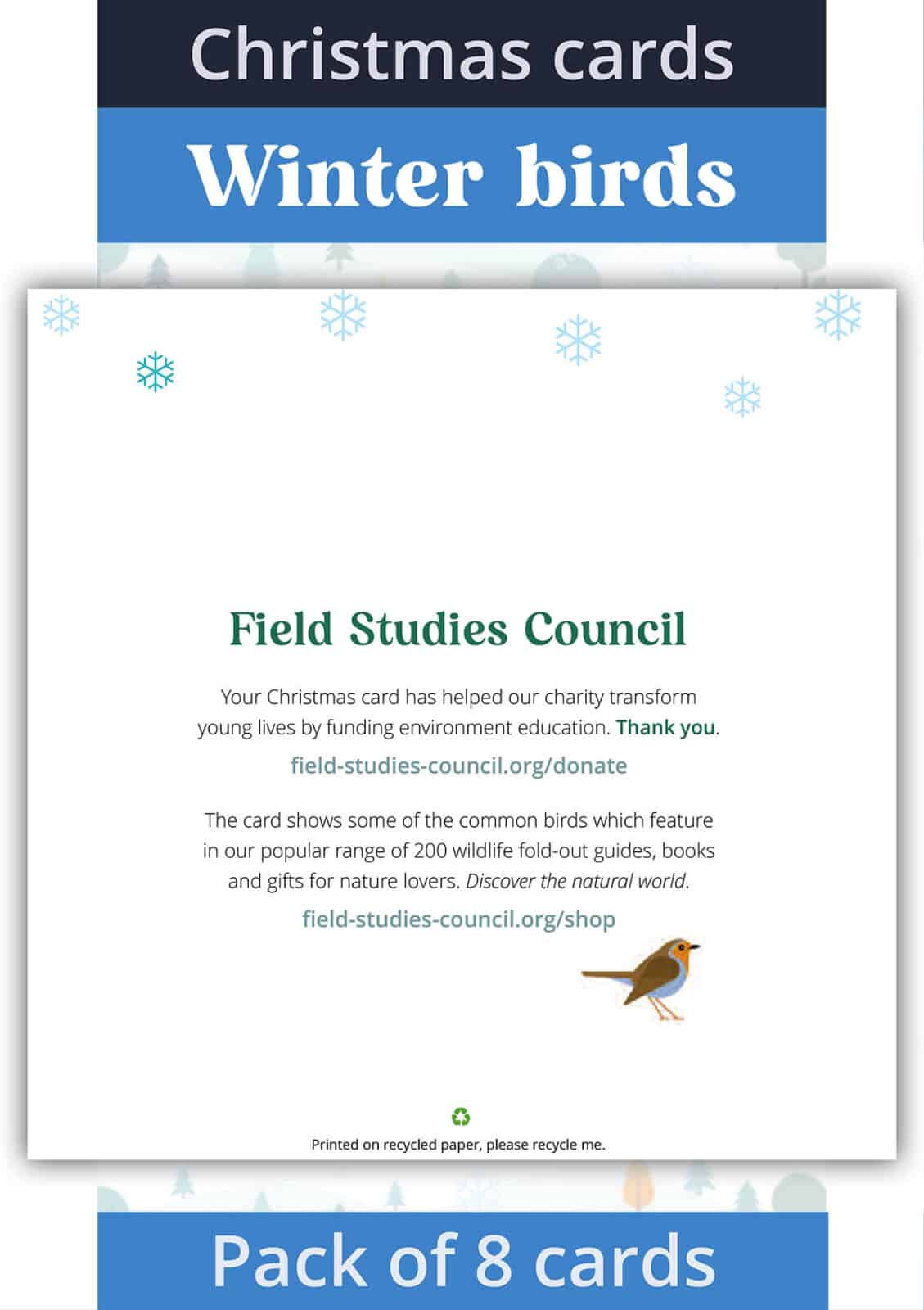 Christmas cards winter birds