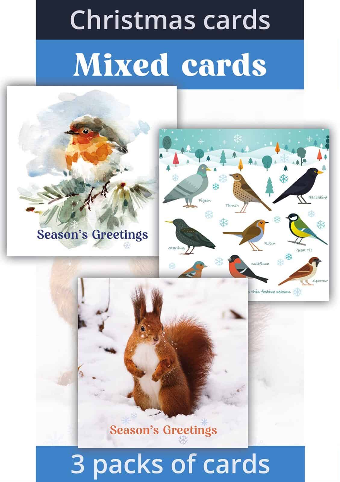 christmas cards mixed designs